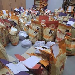 karma, koty wolno żyjące