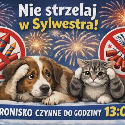 schronisko, nowy rok